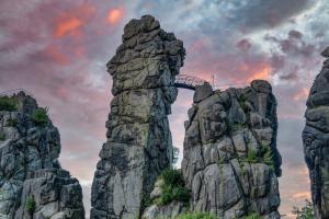 First Label OF this image